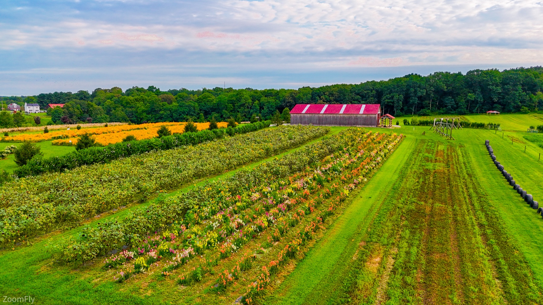Marketing and branding drone content